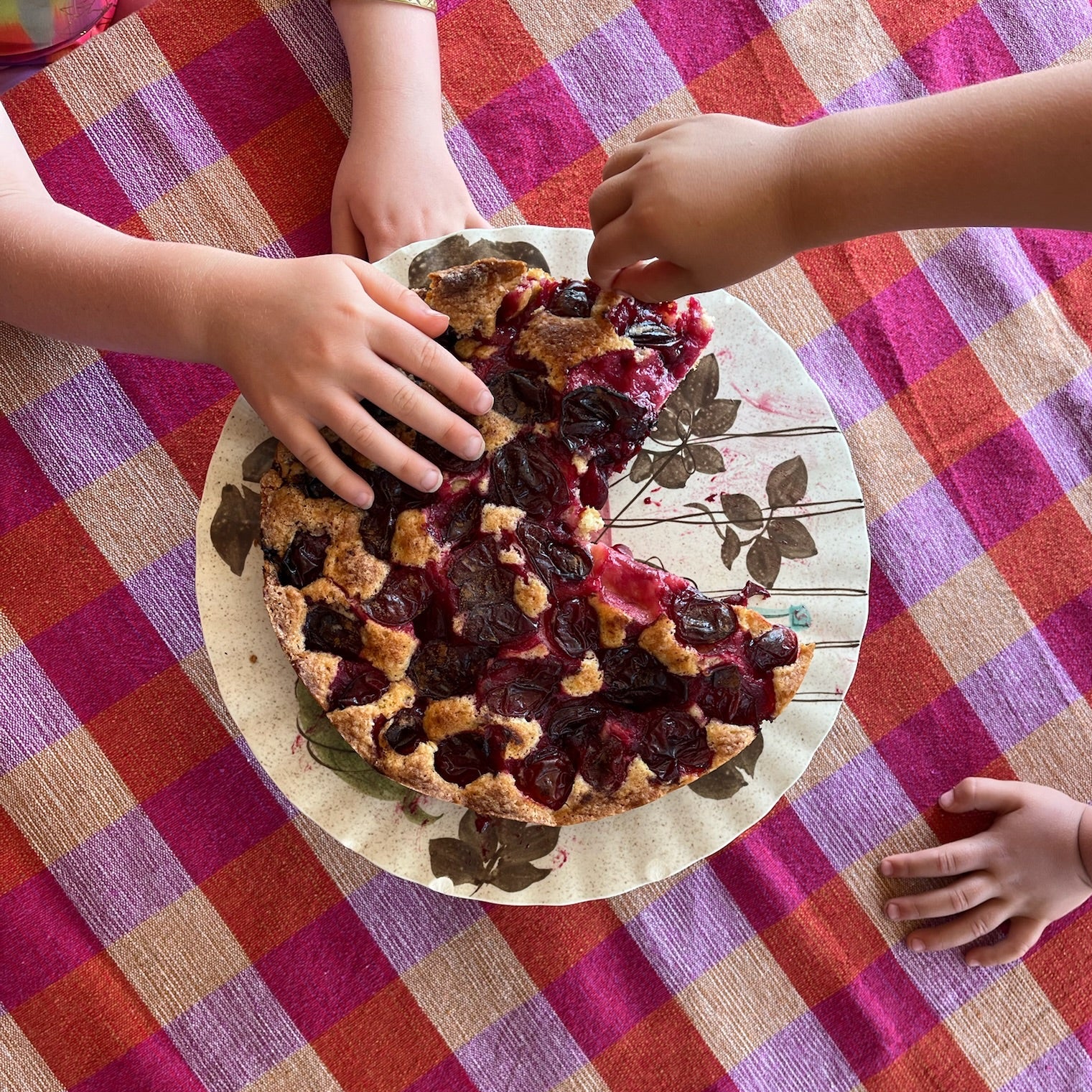 Picnic Blanket [Pink/Red] - Image 3