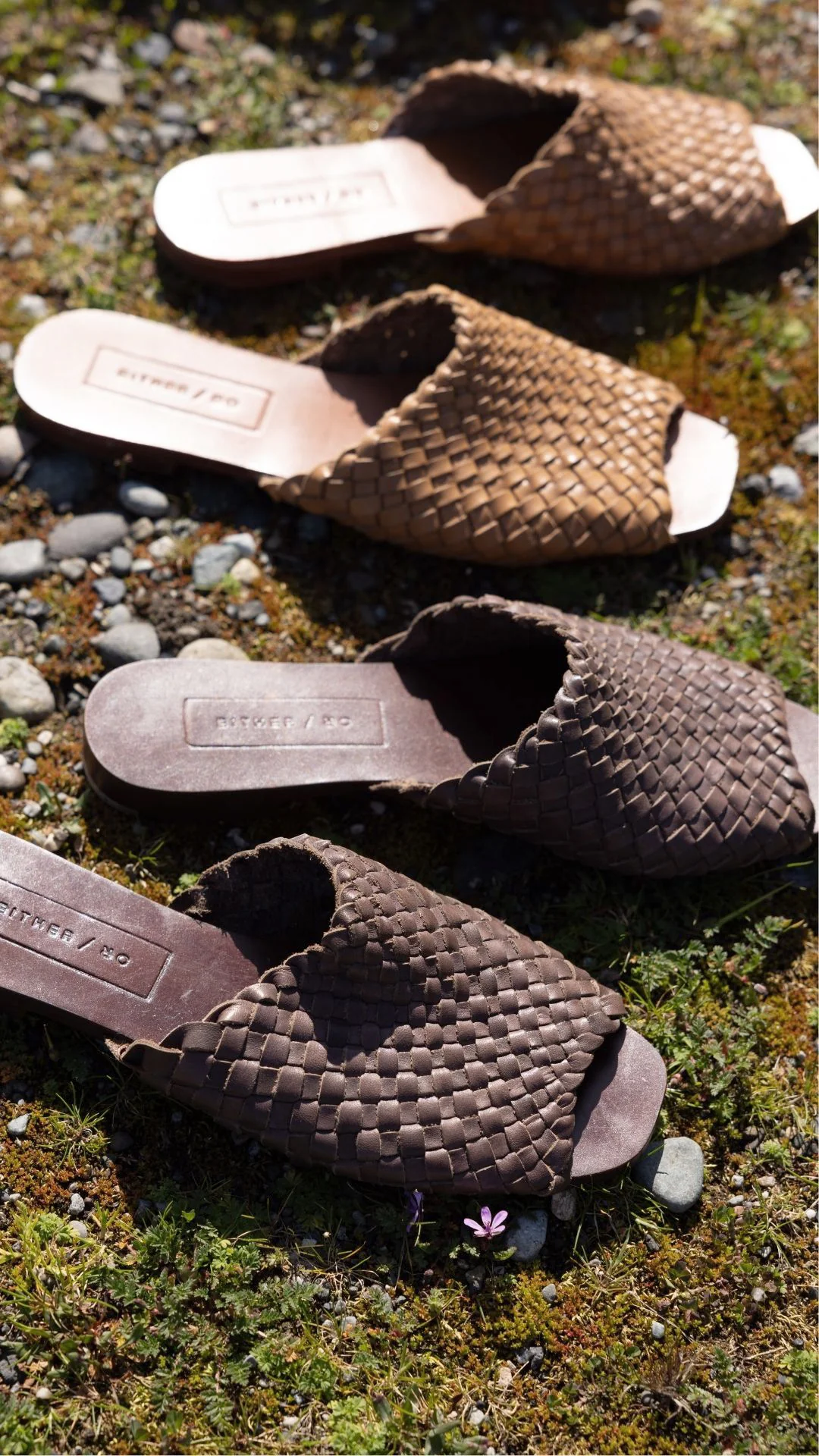 The Woven Slide [Miel] - Image 3